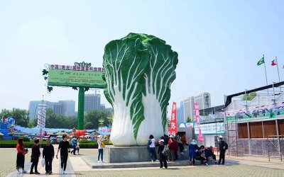 戶(hù)外廣場(chǎng)大型景觀(guān)玻璃鋼彩繪大白菜雕塑