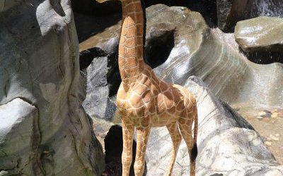 公園戶外景區創意玻璃鋼仿真動物長頸鹿雕塑